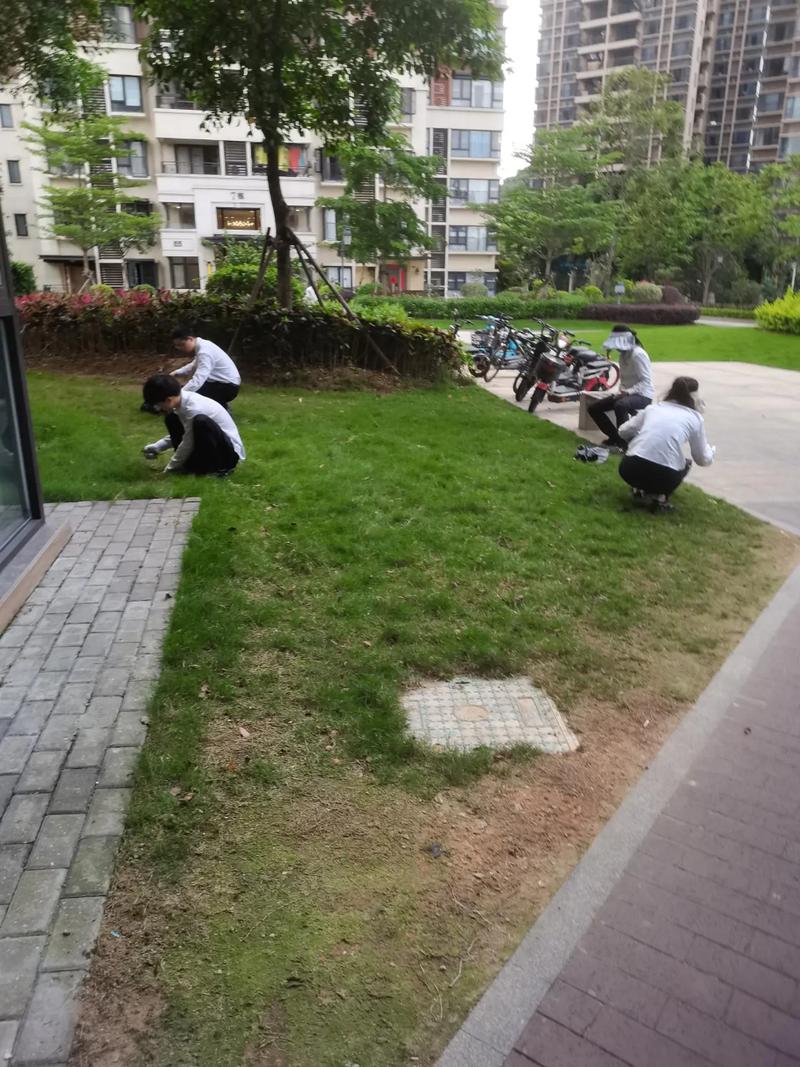 小区收停车费需要物价局审批吗 小区收停车费需要物价局审批吗